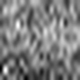 1665900681_1 @ 5 µm