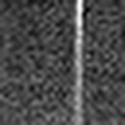 1671530861_1 @ 5 µm