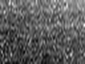 1671564000_1 @ 5 µm