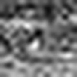 1799187558_1 @ 5 µm