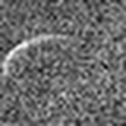 1816658441_1 @ 5 µm