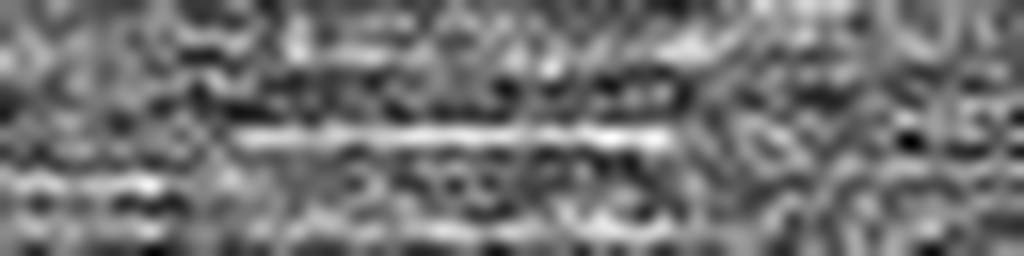 1829674013_1 @ 5 µm