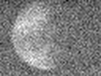 1530479951_1 @ 5 µm