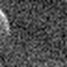 1548815355_1 @ 5 µm