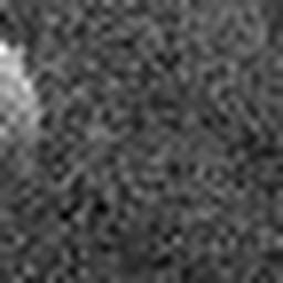 1548815526_1 @ 5 µm