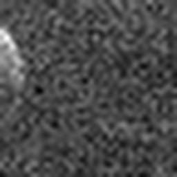 1548816094_1 @ 5 µm