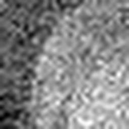 1550837644_1 @ 5 µm