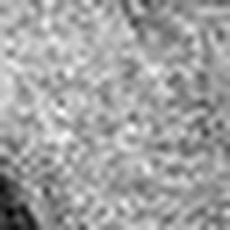 1554945010_1 @ 5 µm