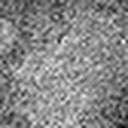 1557712491_1 @ 5 µm