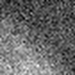 1557719469_1 @ 5 µm