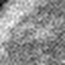 1575529063_1 @ 5 µm