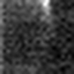 1590628520_1 @ 5 µm