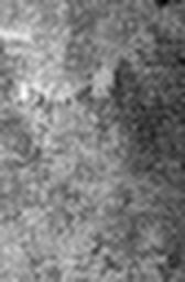 1643411921_1 @ 5 µm