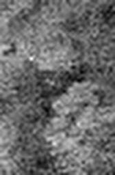 1643412870_1 @ 5 µm