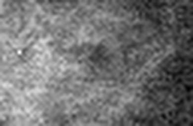 1643416678_1 @ 5 µm