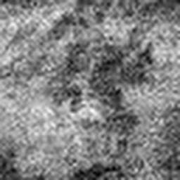 1721859362_1 @ 5 µm