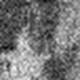 1721862527_1 @ 5 µm