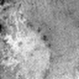 1859147005_1 @ 1.59/1.26 µm