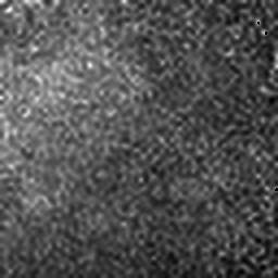 1548754478_1 @ 2.03/2.10 µm