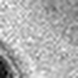 1554945010_1 @ 2.03/2.10 µm